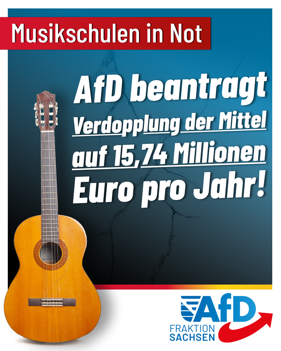 Musikschulen in Not: AfD beantragt Verdopplung der Mittel auf 15,74 Millionen Euro pro Jahr!