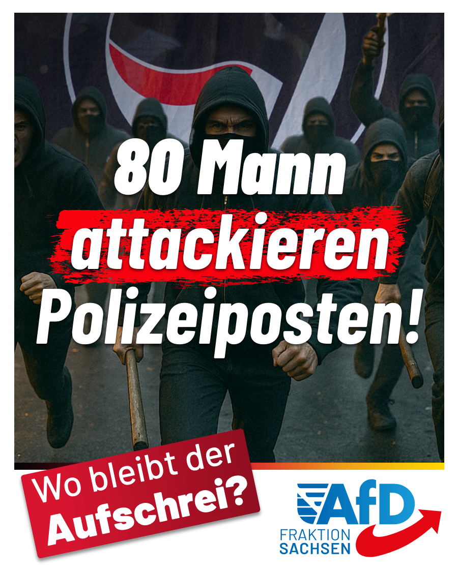 Horde von 80 Mann attackiert Polizeiposten mit Steinen und Flaschen: Wo bleibt der Aufschrei?