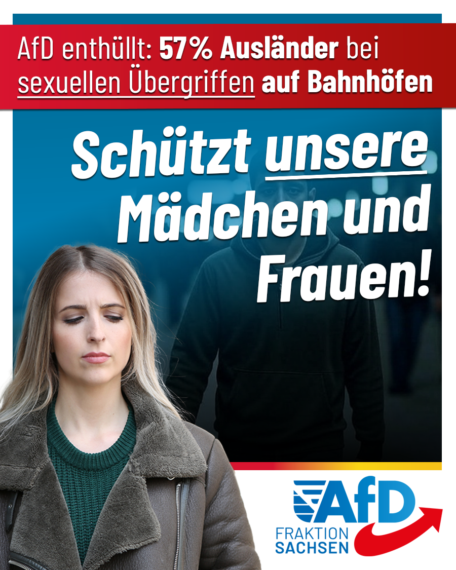 AfD-Anfrage zu sexuellen Übergriffen auf Bahnhöfen: 57 % der Tatverdächtigen sind Ausländer!