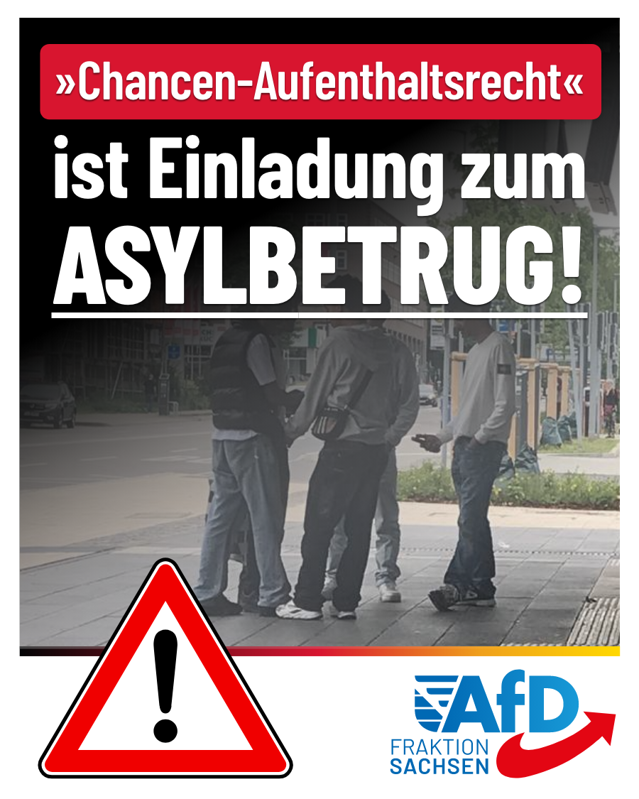 AfD-Anfrage: Chancen-Aufenthaltsrecht gescheitert! Schnell wieder abschaffen!
