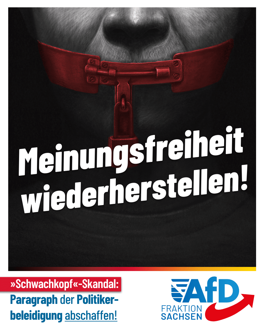 „Schwachkopf“-Skandal: Meinungsfreiheit wiederherstellen! Paragraph der Politikerbeleidigung abschaffen!