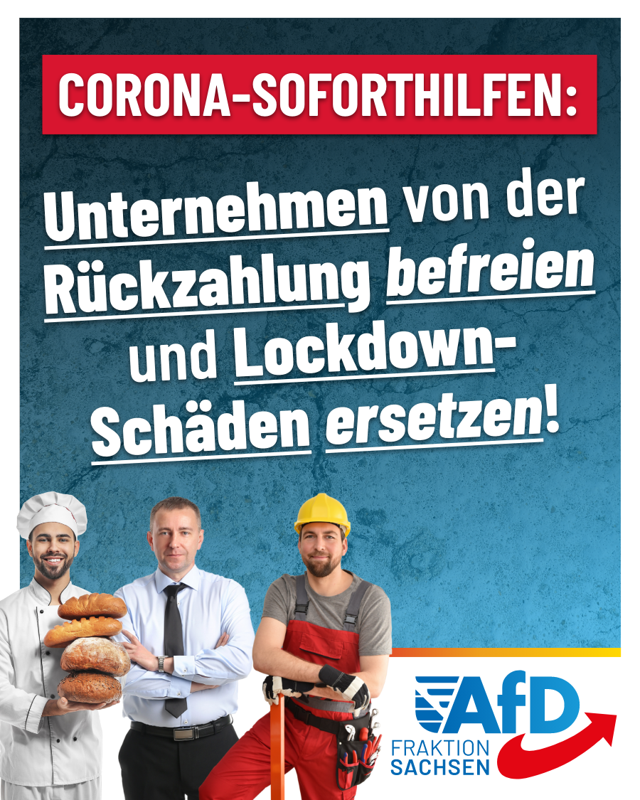 Corona-Soforthilfen: Unternehmen von der Rückzahlung befreien und Lockdown-Schäden ersetzen