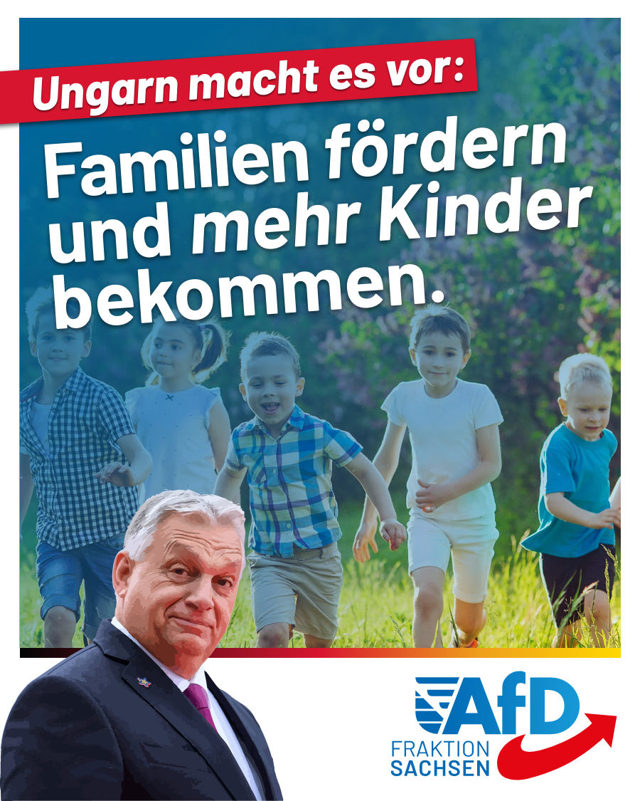 Ungarn machts vor: Familien fördern und mehr Kinder bekommen