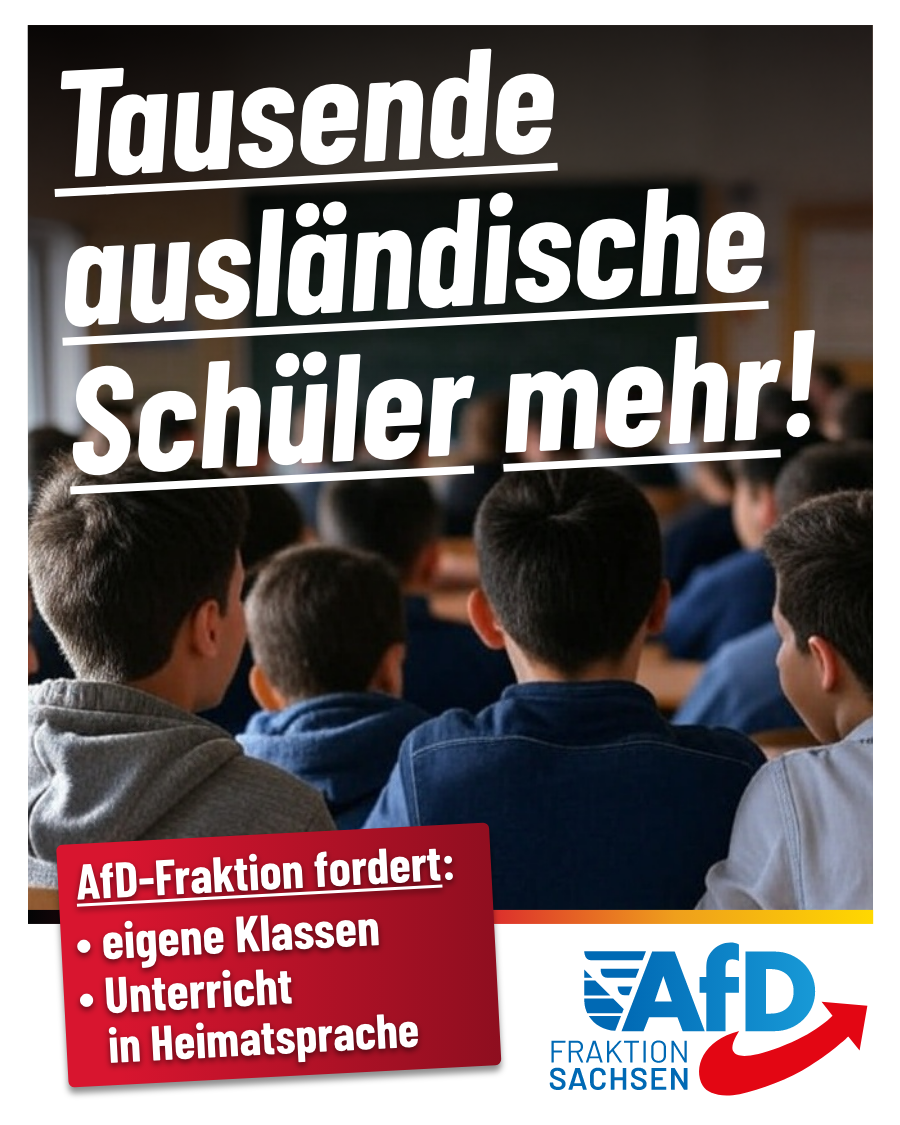 Neues Schuljahr: Tausende ausländische Schüler mehr / AfD-Fraktion fordert: Eigene Klassen und Unterricht in Muttersprache!