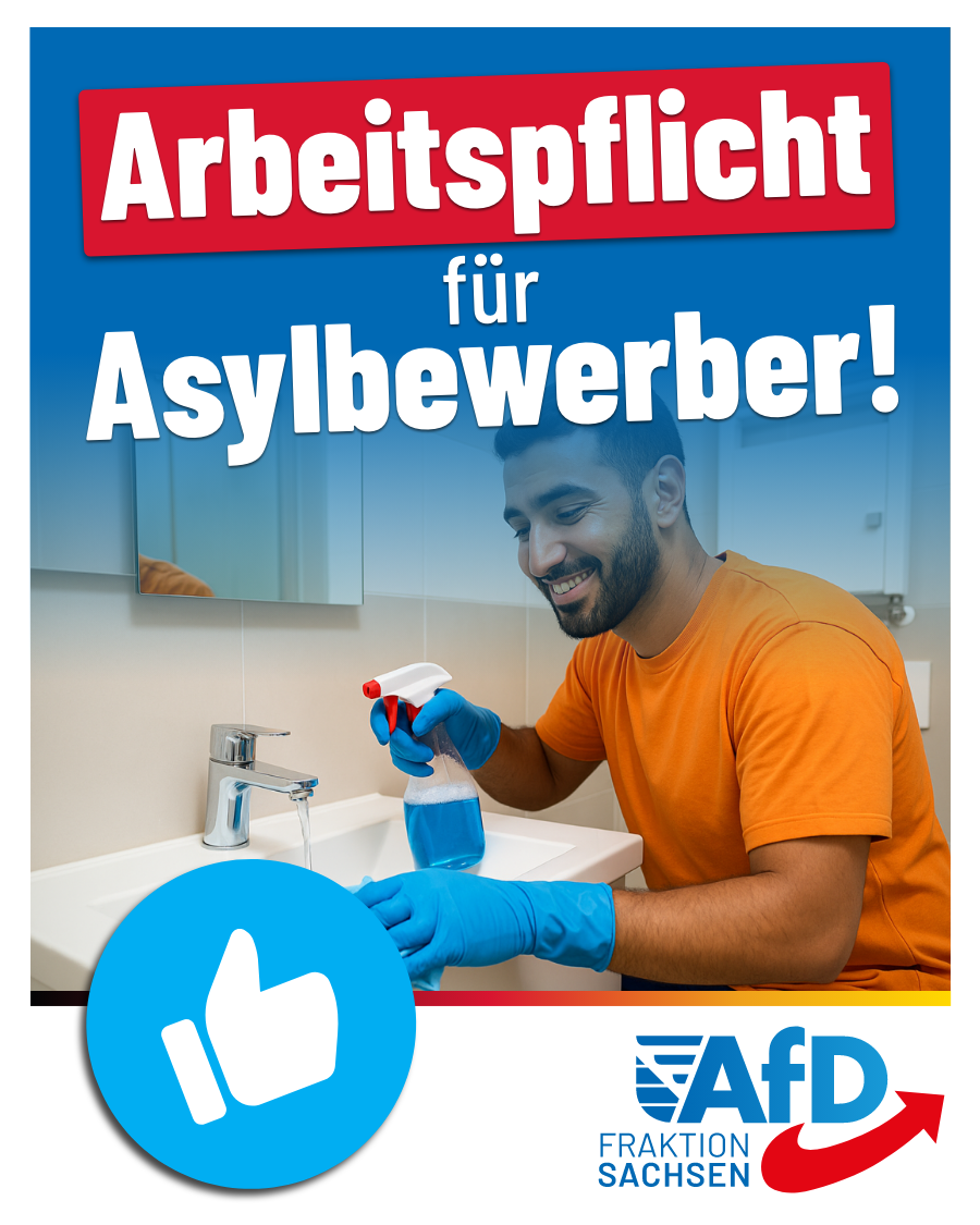 AfD-Antrag: Arbeitspflicht für Asylbewerber!