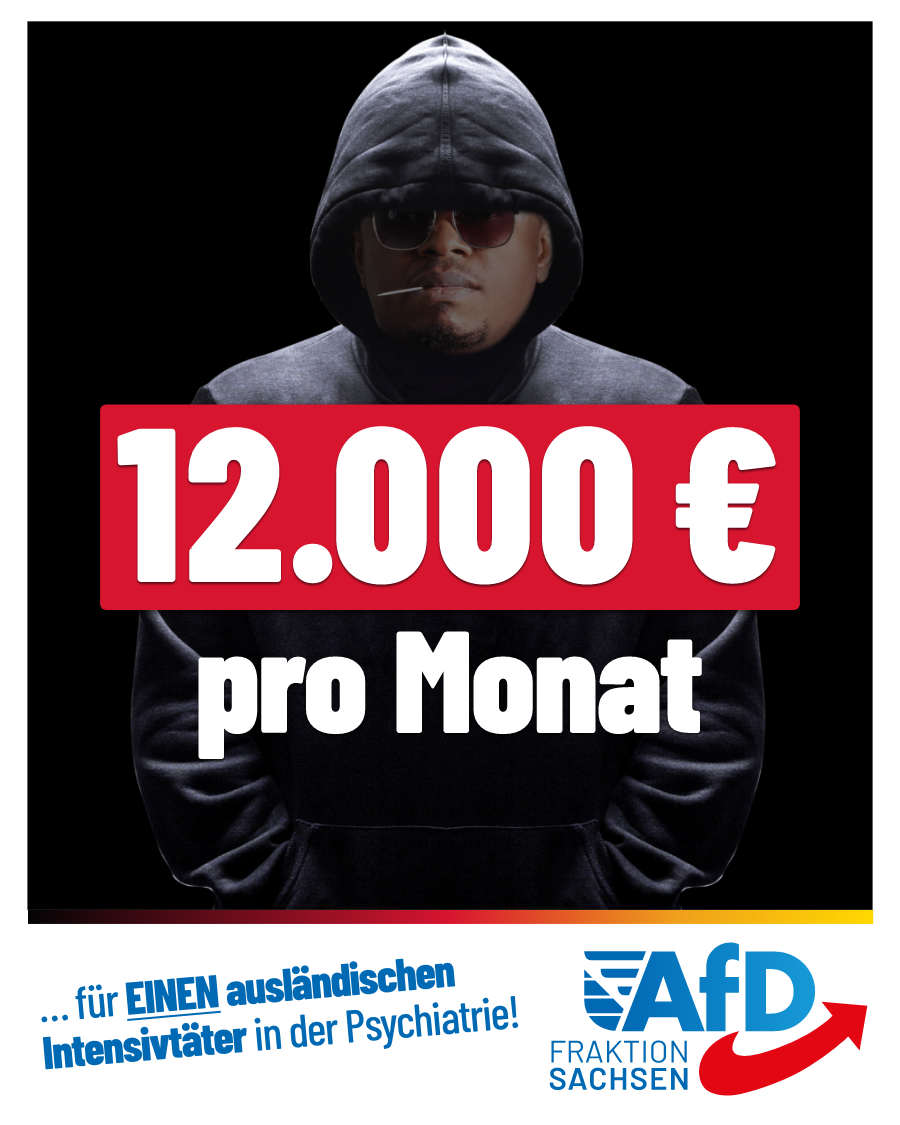 Ein Intensivtäter in der Psychiatrie kostet: 12.000 Euro pro Monat!