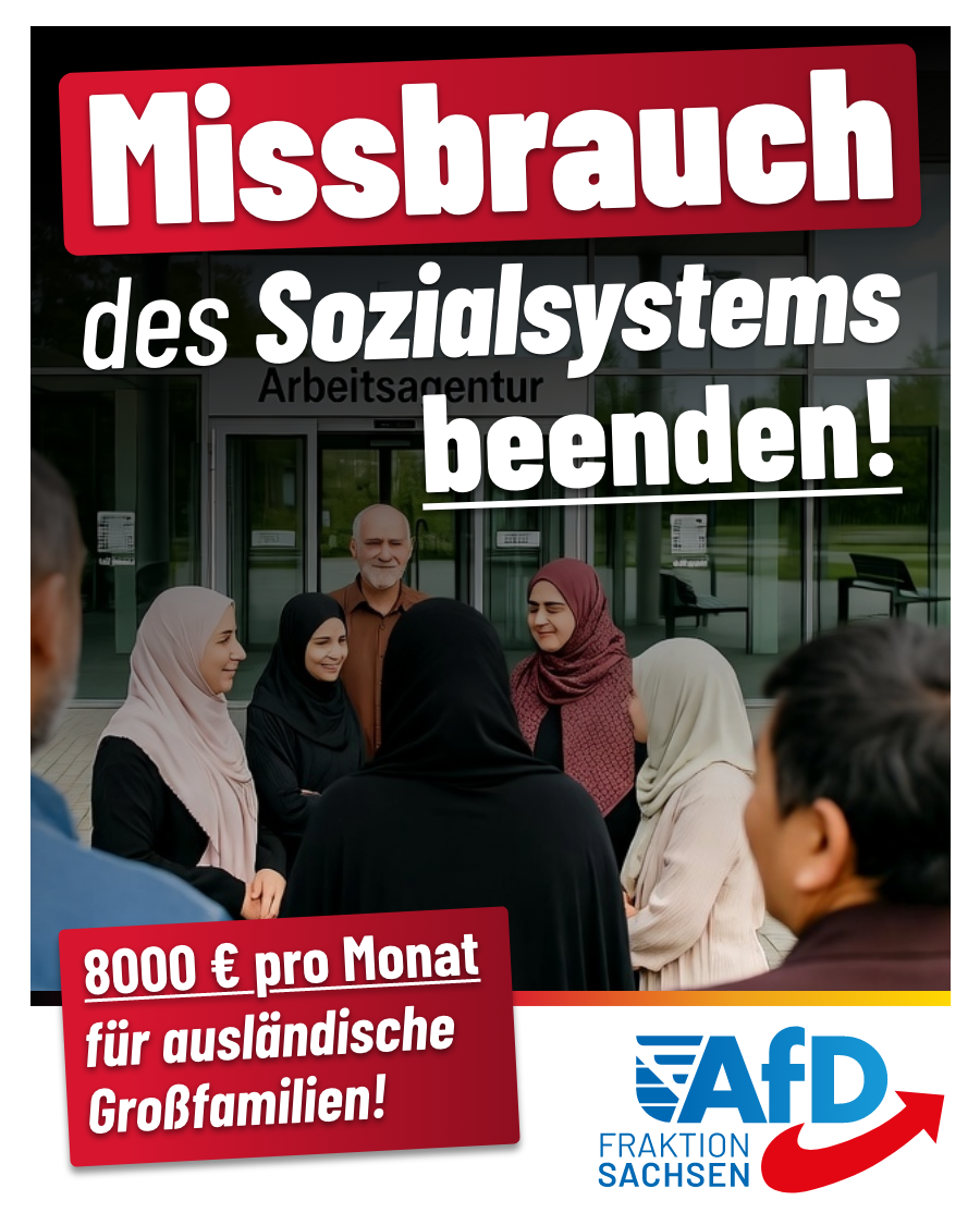 8.000 € pro Monat für ausländische Großfamilien: Missbrauch des Sozialsystems beenden!