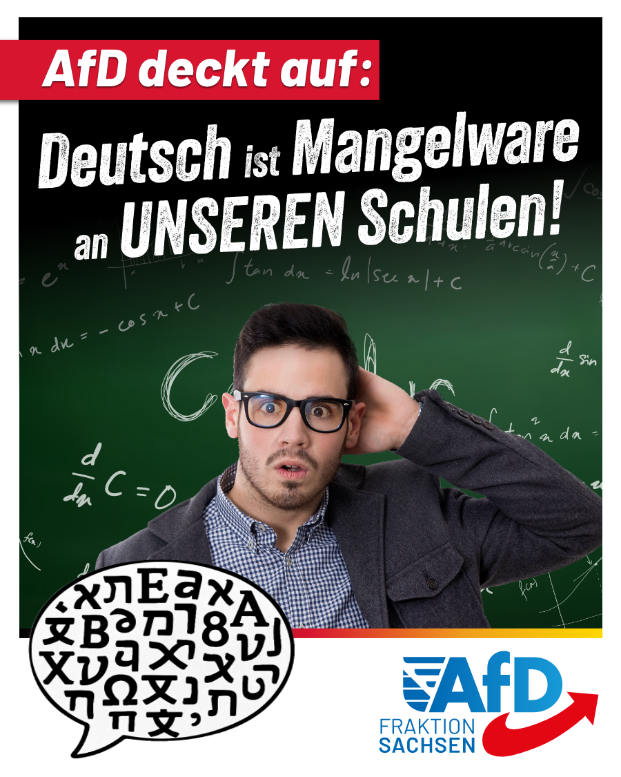 AfD-Anfrage deckt auf: zu viele Kinder ohne deutsche Herkunftssprache an mittelsächsischen Schulen