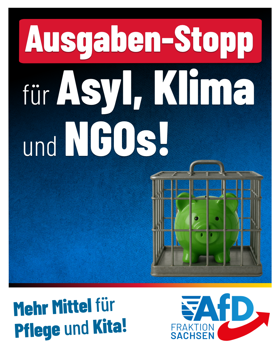 Ausgaben-Stopp für Asyl, Klima und NGOs: Mehr Mittel für Pflege und Kita!