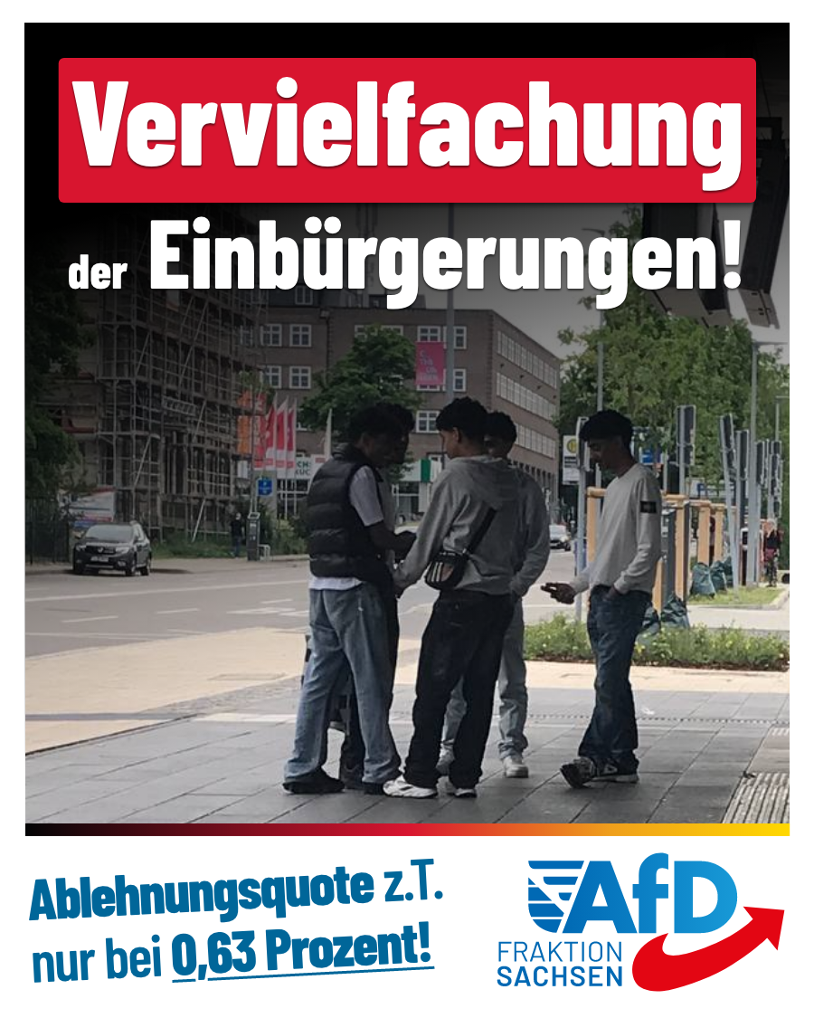 AfD-Anfrage: Vervielfachung der Einbürgerungen / Ablehnungsquote teilweise nur bei 0,63 Prozent!