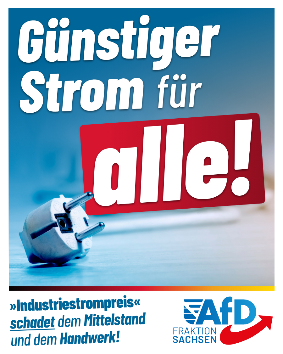 Günstiger Strom für alle! „Industriestrompreis“ schadet dem Mittelstand und dem Handwerk!
