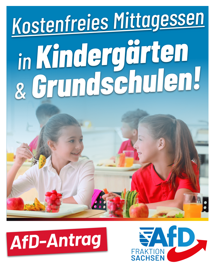 AfD-Antrag: Kostenfreies Mittagessen in Kindergärten und Grundschulen!