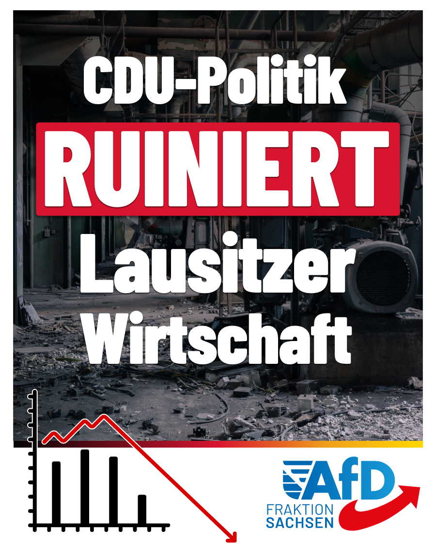CDU-Politik ruiniert Lausitzer Wirtschaft
