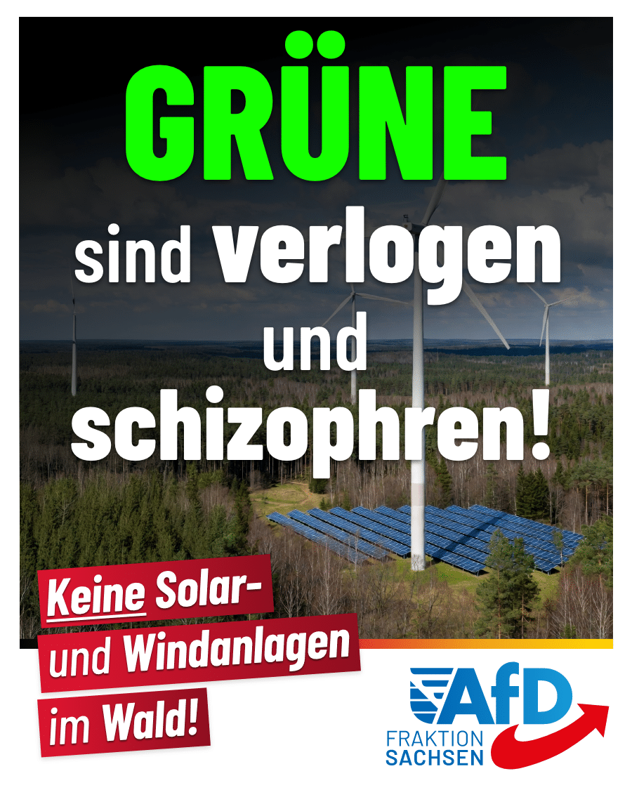 Verlogener Grünen-Antrag: Alle Pläne für Solaranlagen und Windräder in Wäldern stoppen!