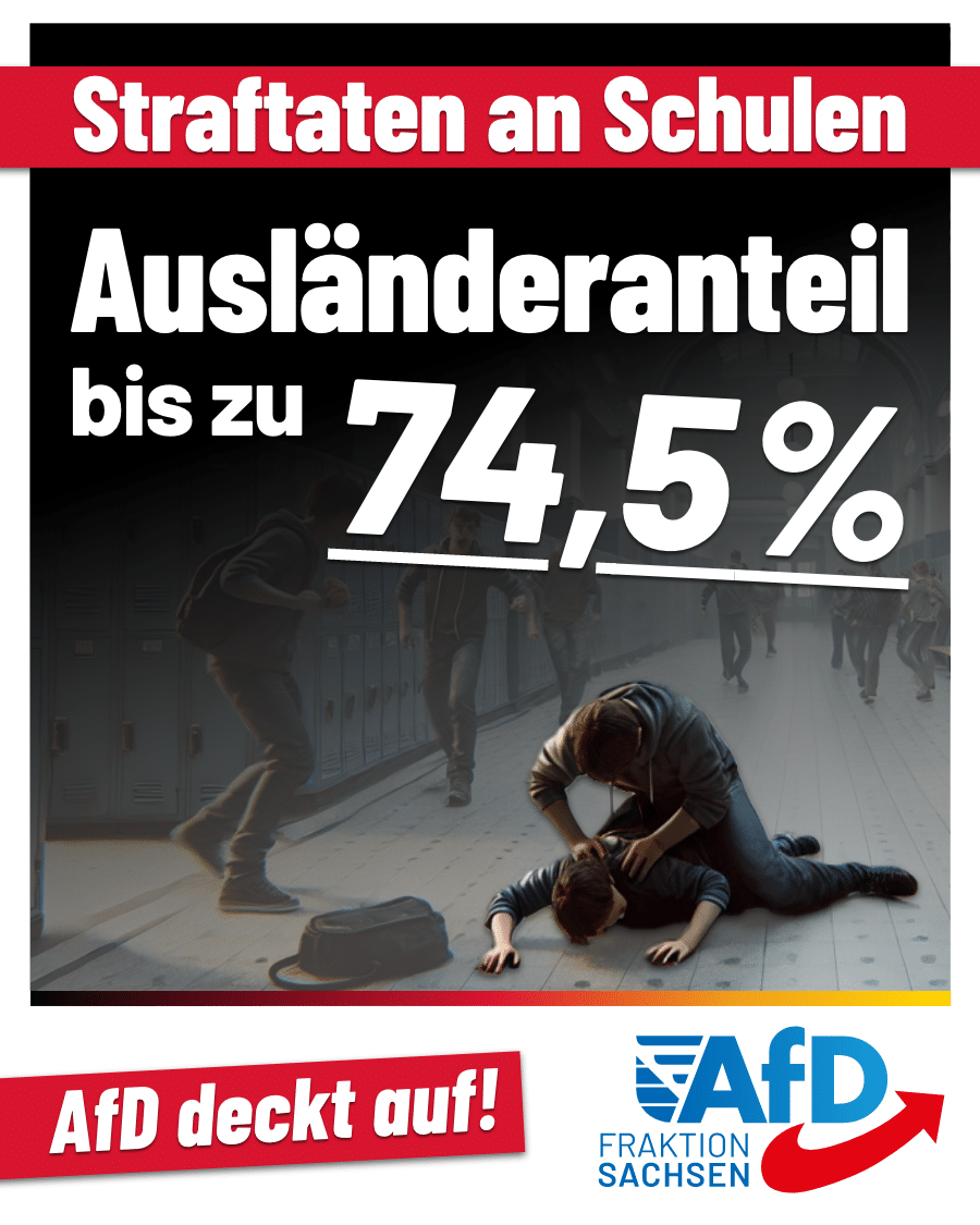 AfD-Anfrage zu Straftaten an Schulen: Ausländeranteil bis zu 74,5 Prozent!