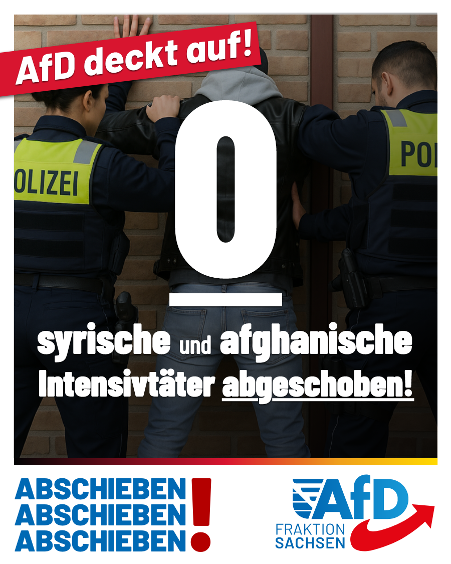 AfD-Anfrage: Null syrische und null afghanische Intensivtäter abgeschoben!