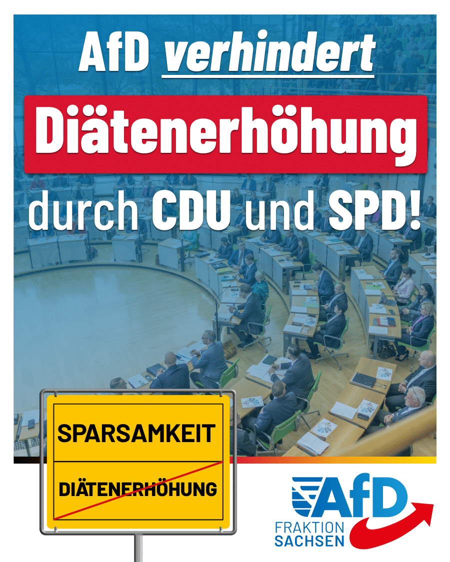 AfD verhindert Diätenerhöhung durch CDU und SPD!