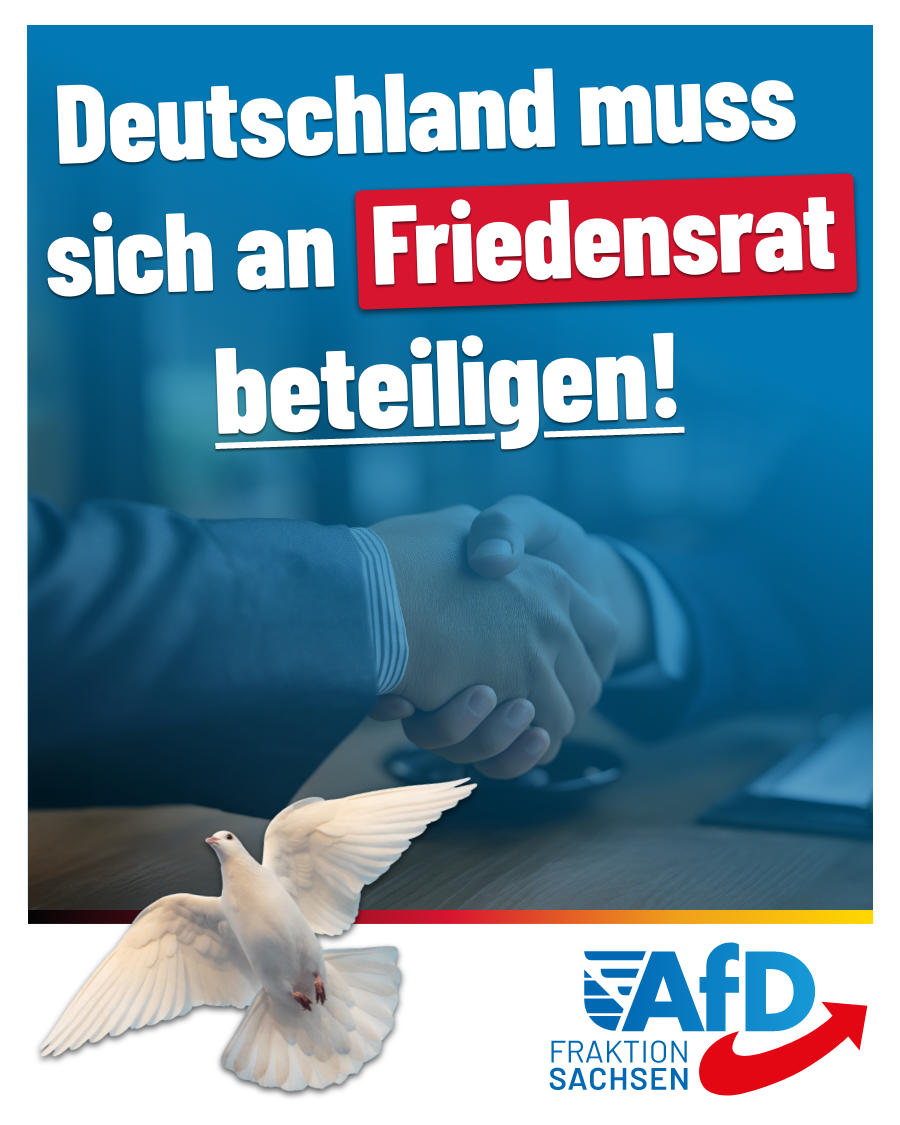 Deutschland muss sich an Friedensrat beteiligen!