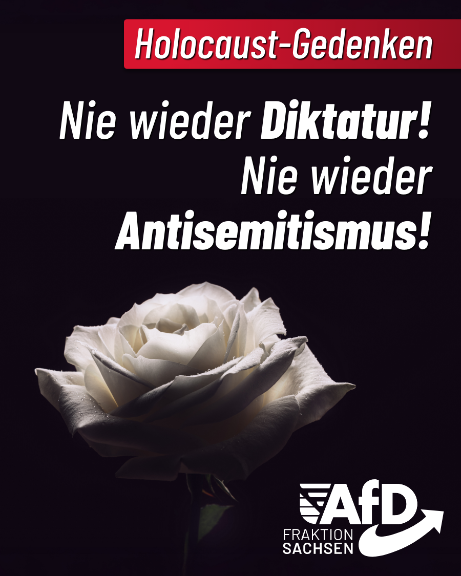 Holocaust-Gedenken: Nie wieder Diktatur! Nie wieder Antisemitismus!