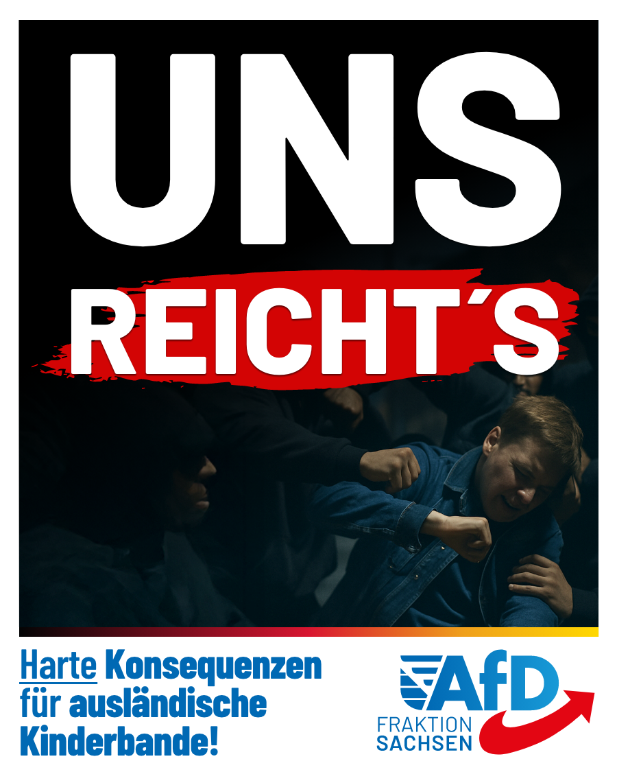 Uns reicht´s! Harte Konsequenzen für ausländische Kinderbande!