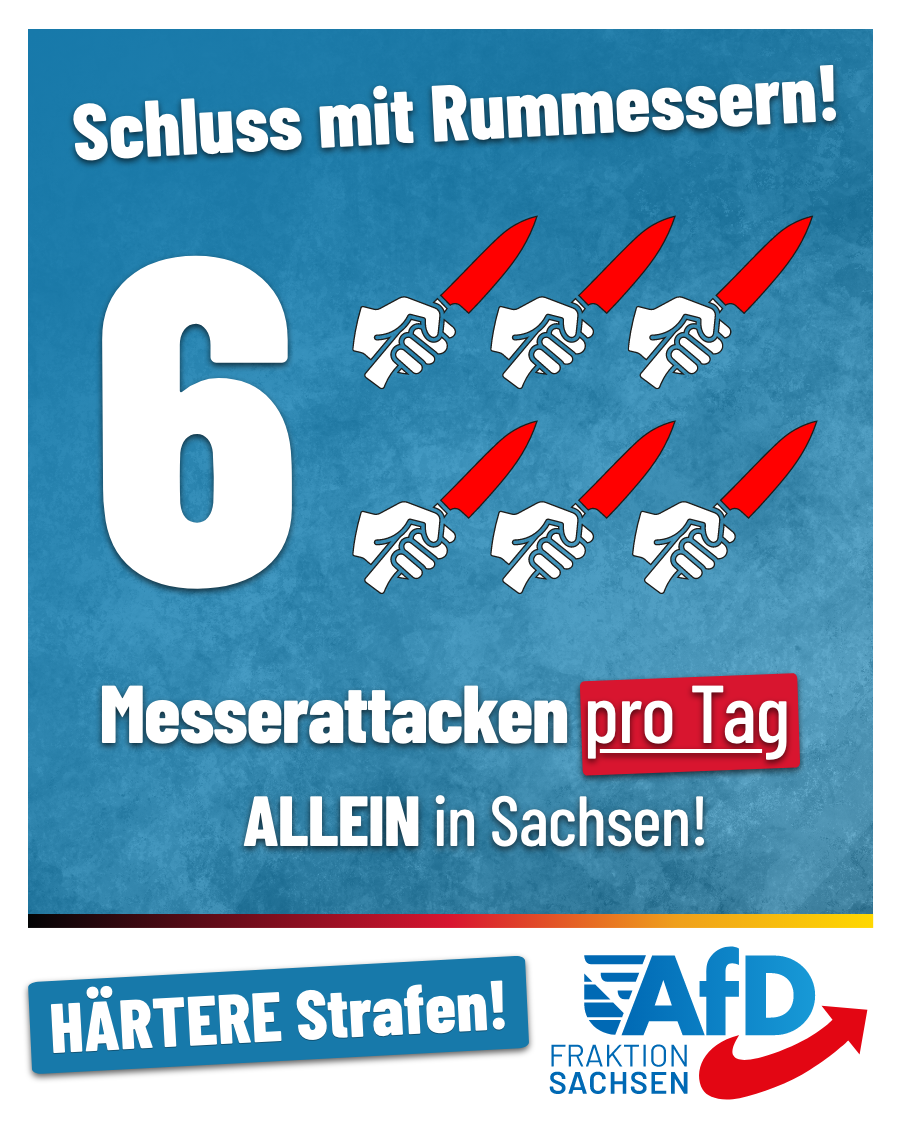 AfD-Antrag: Messergewalt härter bestrafen!