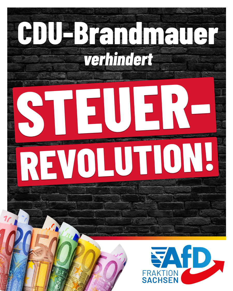 CDU-Brandmauer verhindert Steuer-Revolution!
