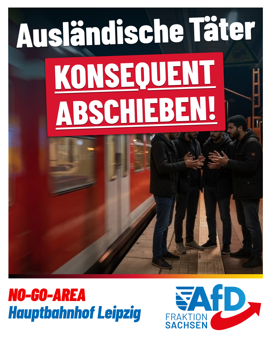 No-Go-Area Hauptbahnhof Leipzig: Ausländische Täter konsequent abschieben!
