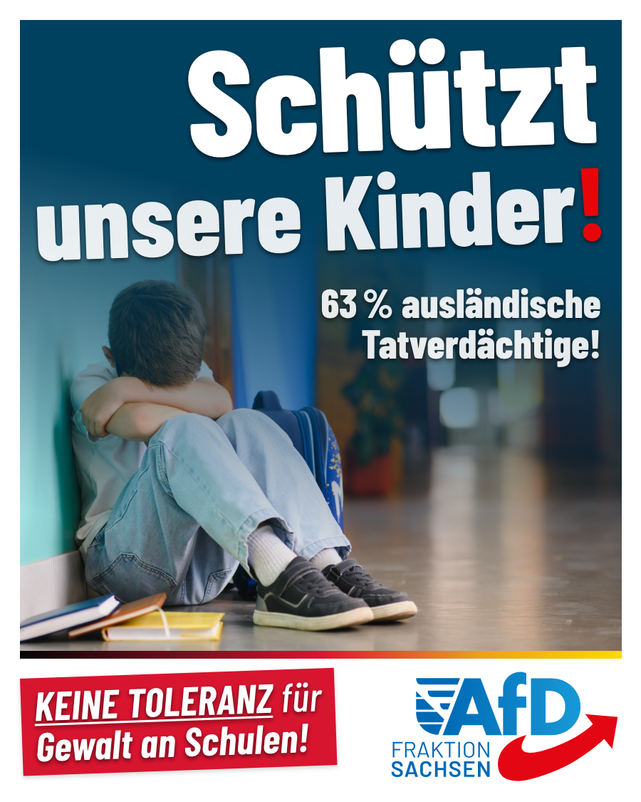 AfD-Anfrage zu Gewalt an Schulen: 63 Prozent ausländische Tatverdächtige!