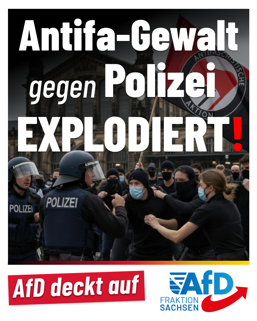 AfD-Anfrage: Übergriffe auf Polizisten von 2.512 auf 3.083 gestiegen!