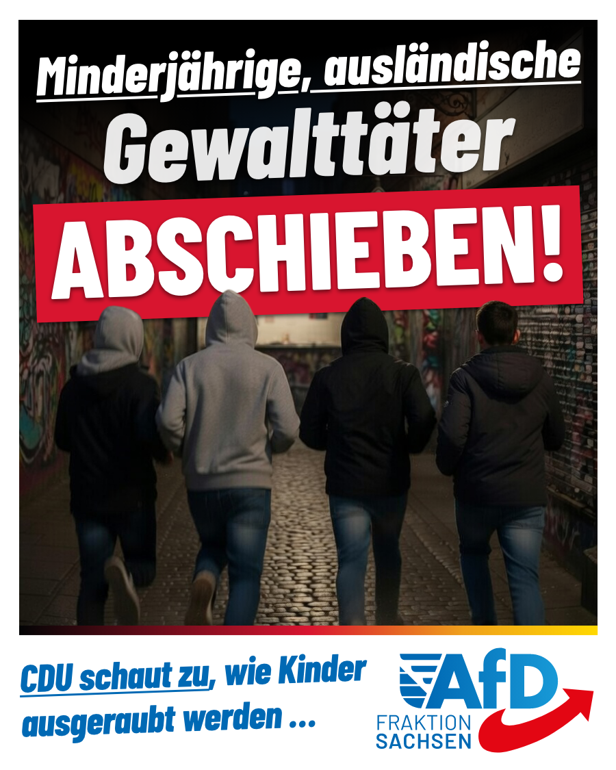 Minderjährige, ausländische Gewalttäter abschieben!
