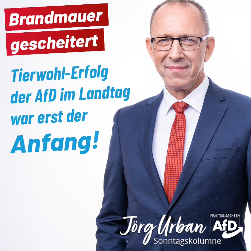Brandmauer gescheitert