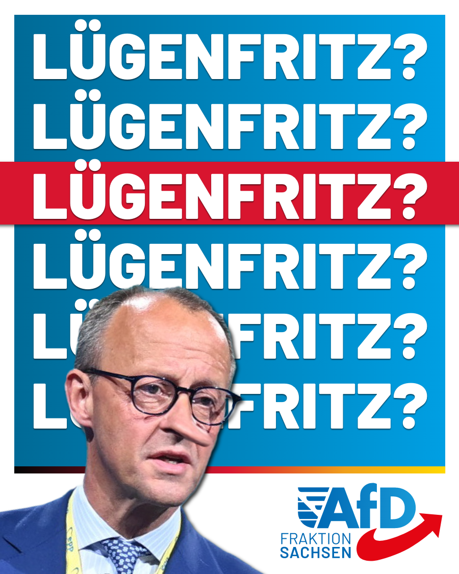 Geldstrafe für Regierungskritiker: Ist Friedrich Merz ein „Lügenfritz“?