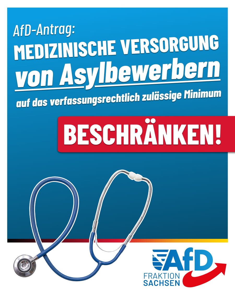 AfD-Antrag: Medizinische Versorgung von Asylbewerbern auf das verfassungsrechtlich zulässige Minimum beschränken