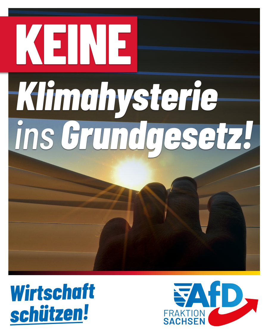 Wirtschaft schützen: Keine Klimahysterie ins Grundgesetz!