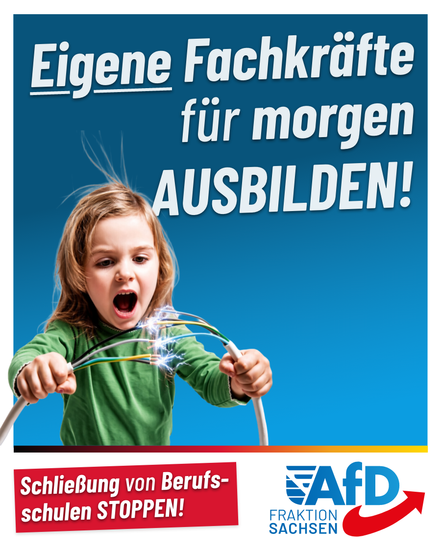 Rückgang bei Azubis von 7 %: Ausdünnung der dualen Ausbildung ist ein schwerwiegender Fehler!