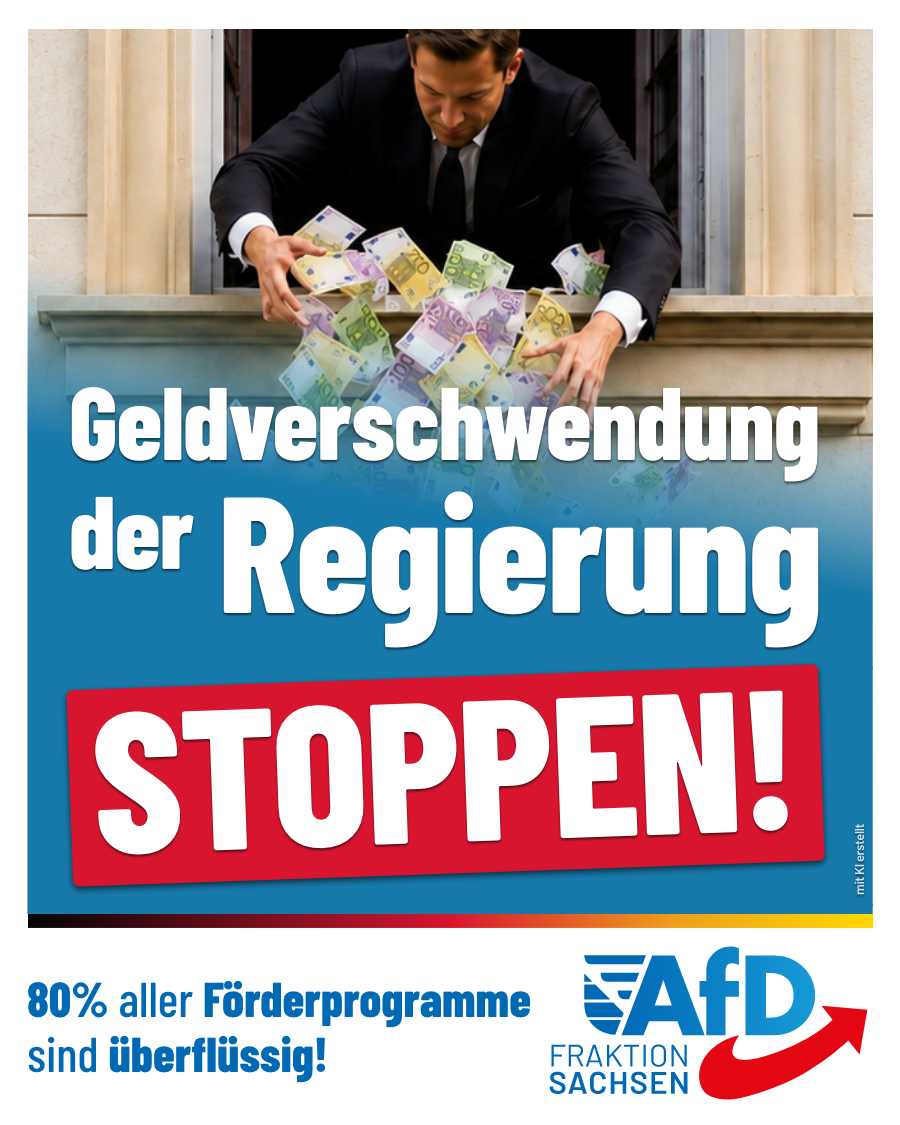 AfD-Anfragen: Geldverschwendung der Regierung muss sofort aufhören!