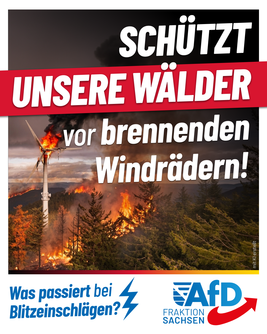 Schützt unsere Wälder vor brennenden Windrädern!