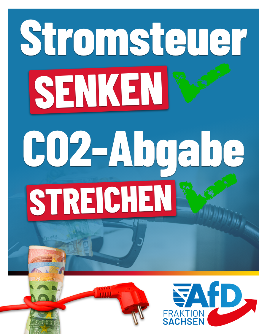 Nicht nur Stromsteuer senken, sondern CO2-Abgabe komplett streichen!
