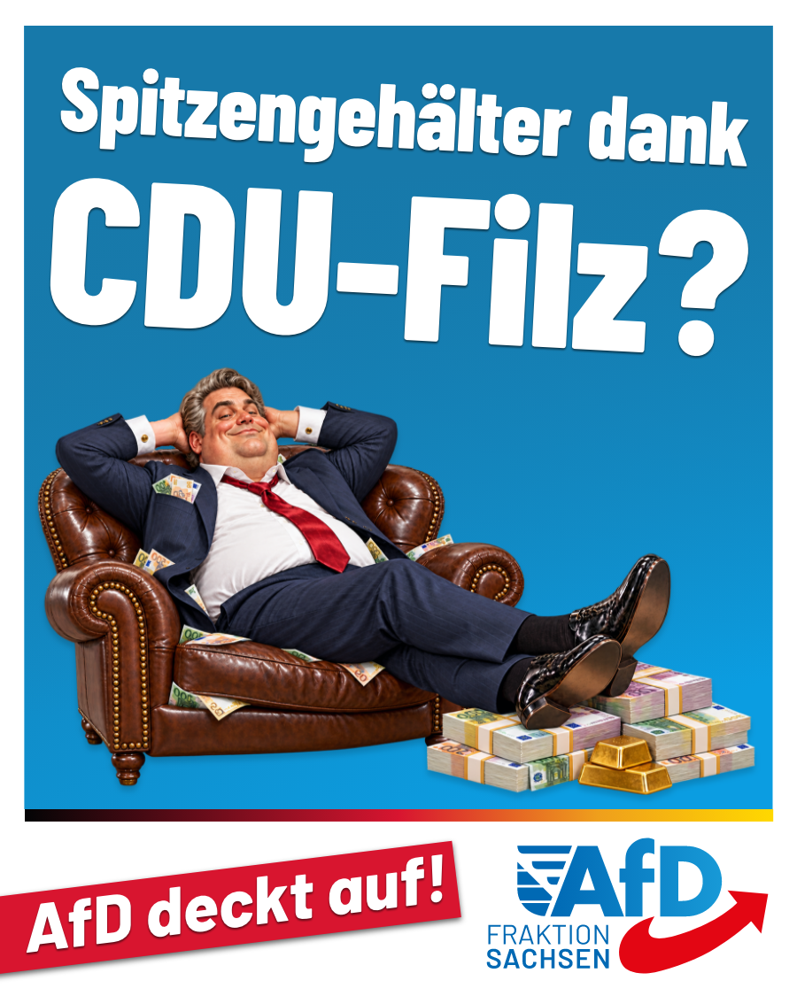 AfD-Anfrage zu Landesbeteiligungen: Blockade-Haltung bei Spitzengehältern nährt Verdacht eines CDU-Filzes!